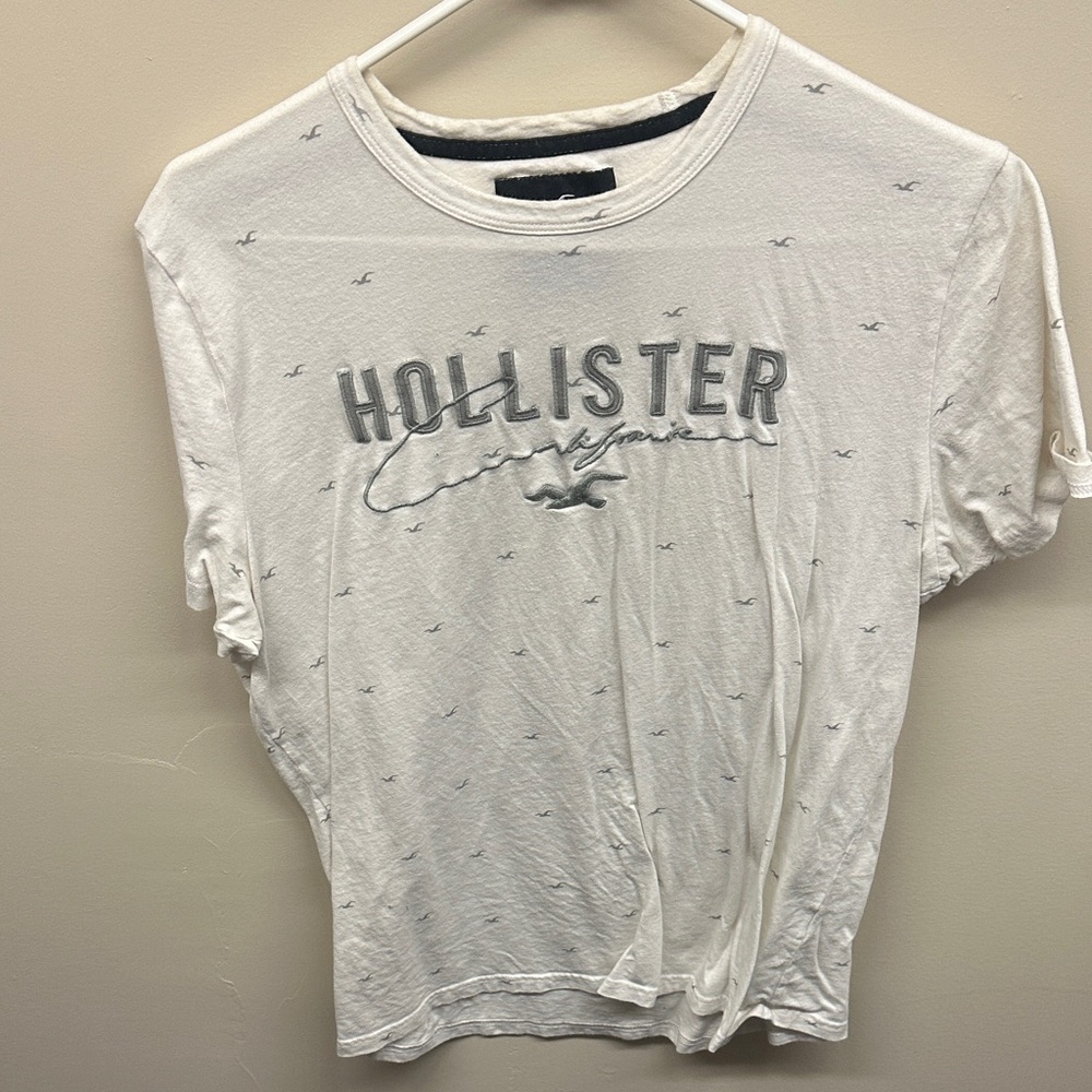 Hollister Fitted T-Shirt